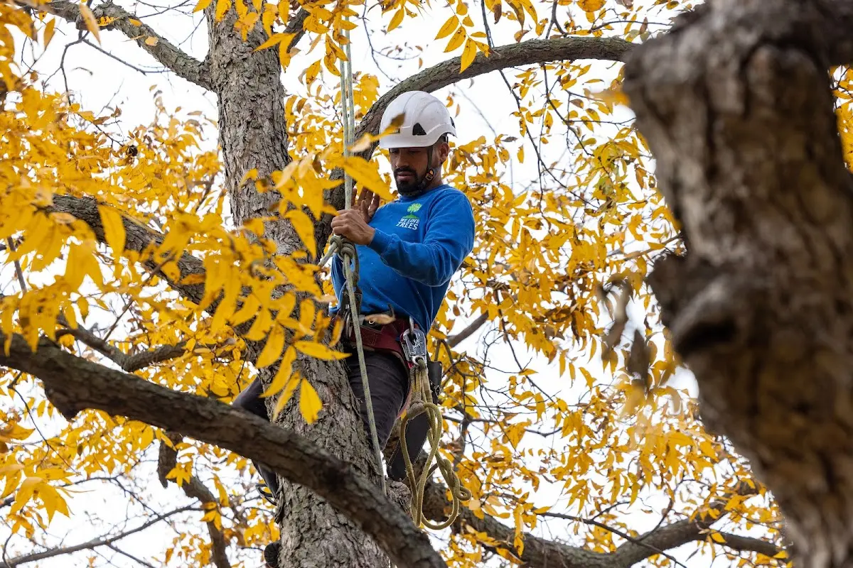 Skilled Storm Damage Cleanup crew working in Washburn